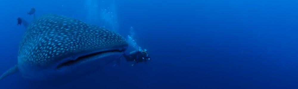 Galápagos no Feriadão de Abril de 2014!!!