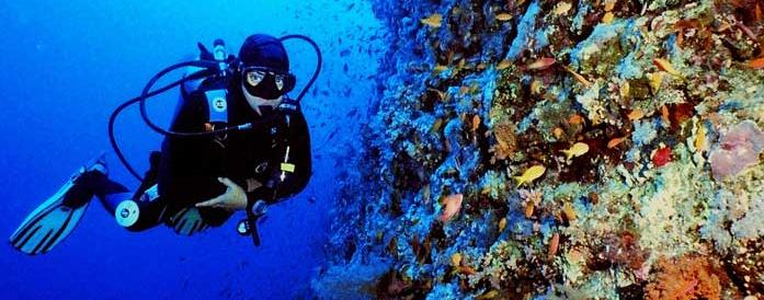 Mergulho Profundo – Deep Diver – PADI