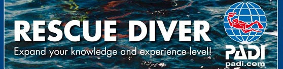 Extreme Divers – Dive10.com