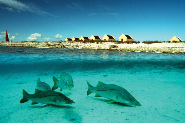 BONAIRE, mergulhos ilimitados no Feriado de Corpus Christi de 2013!!!