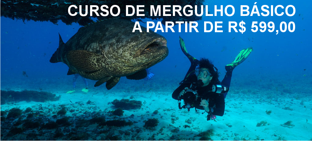 Curso de Mergulho Básico – Open Water Diver – PADI