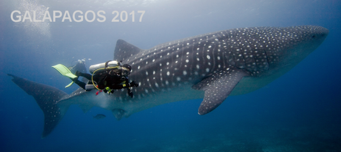Galápagos em Julho de 2017 – Em até 12x!!!