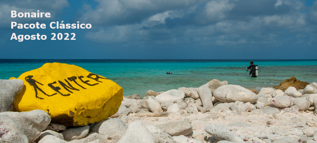 BONAIRE – Pacote clássico em Agosto de 2022!!!