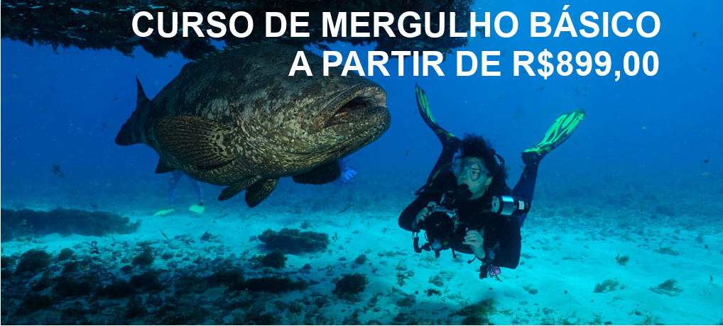 Curso de Mergulho Básico – Open Water Diver – PADI