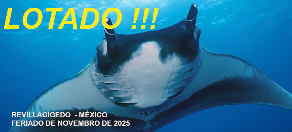 Revillagigedo – Islas Socorro – México – Feriado de 20 de Novembro de 2025