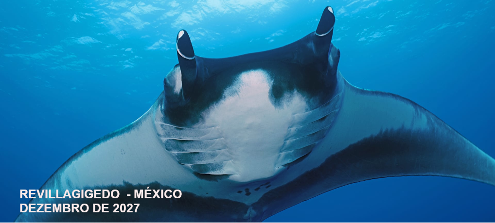 Revillagigedo – Islas Socorro – México – Dezembro de 2027 Revillagigedo – Islas Socorro – México – Dezembro de 2027